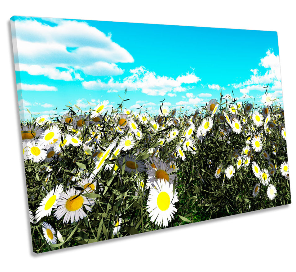 Floral Daisy Field Meadow