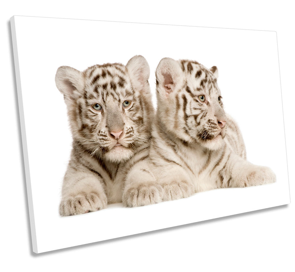 Tiger Cubs Cute