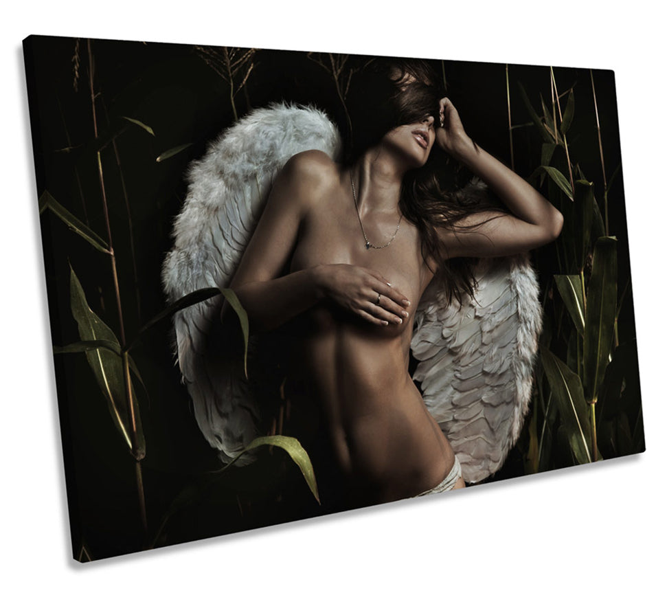 Sexy Angel Wings Fantasy