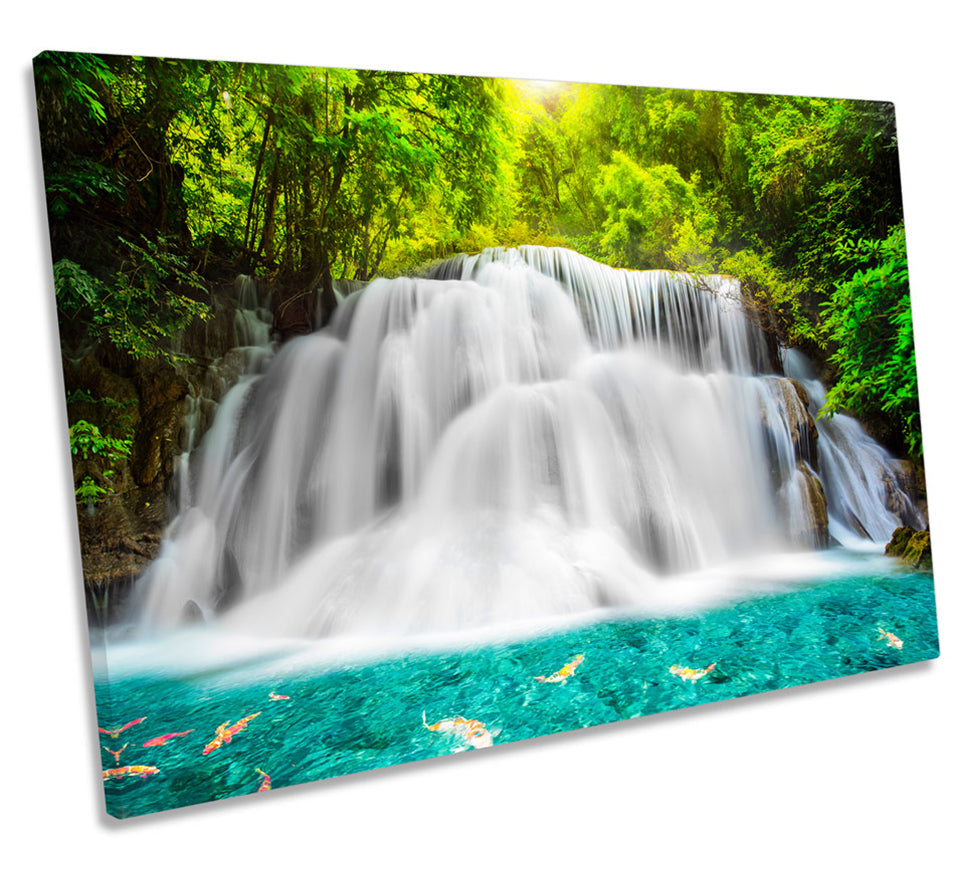 Tropical Rain Forest Waterfall Scene