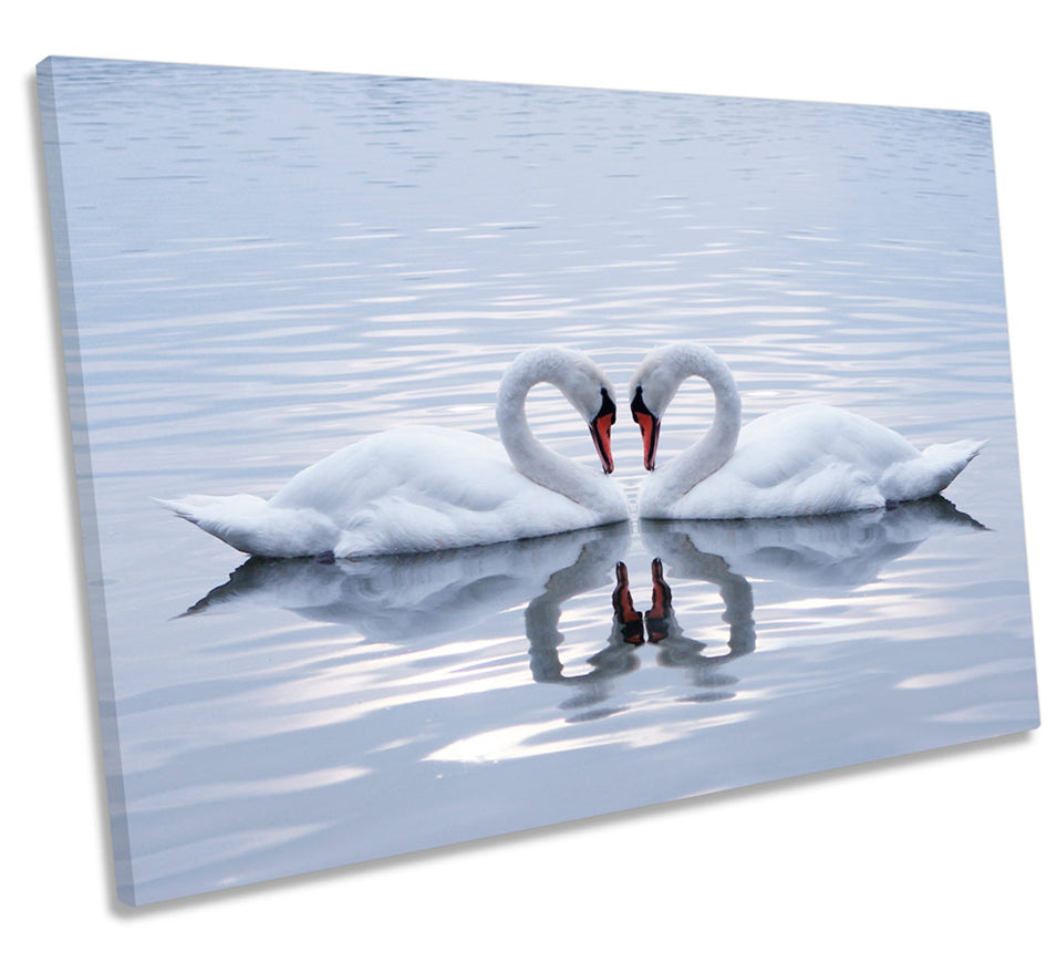 Swans Love Pair Heart