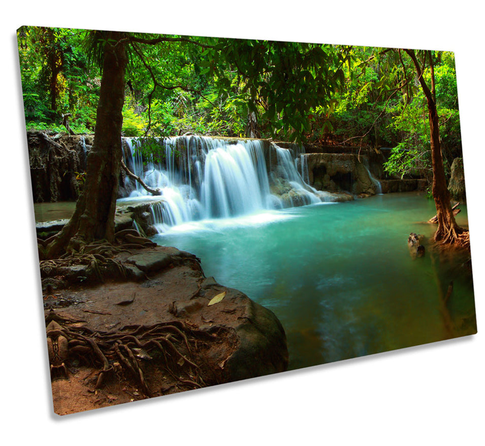 Tropical Rain Forest Scene