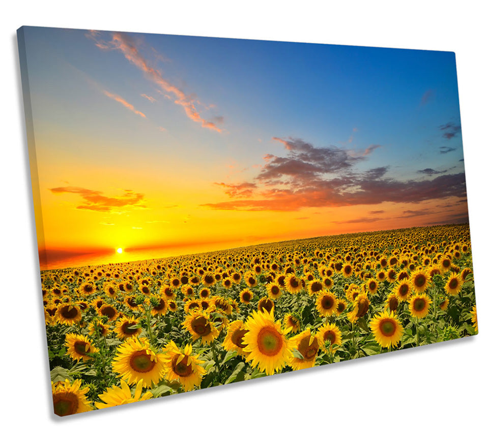 Sunset Sunflowers Floral