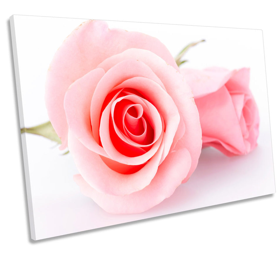 Pair Pink Floral Flower Rose