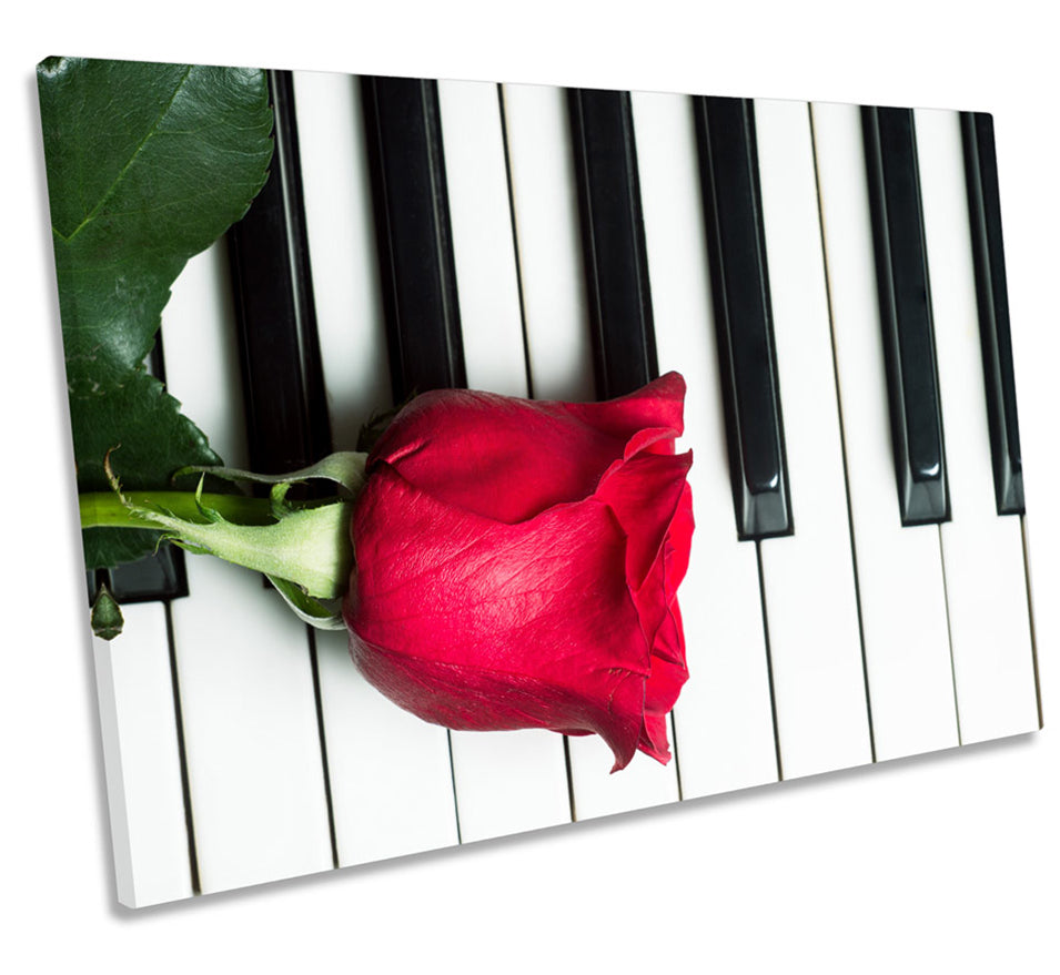 Red Rose Flower Piano