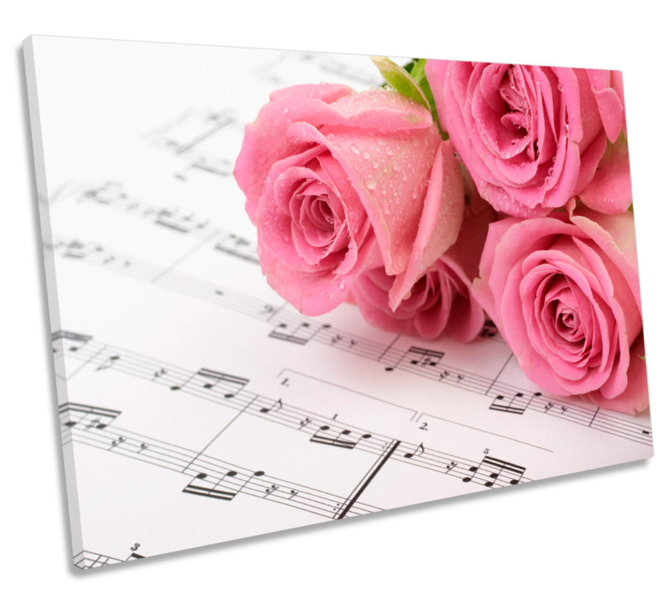 Pink Rose Flowers Music Notes