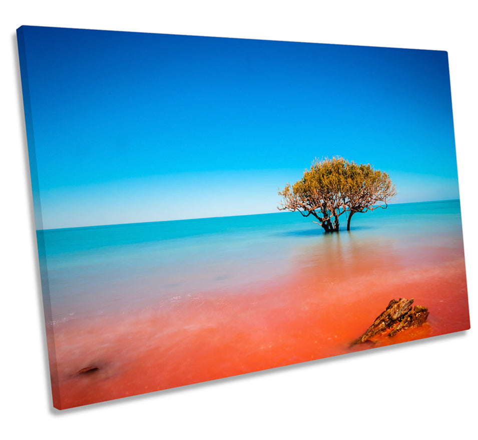 Seascape Tree Australia