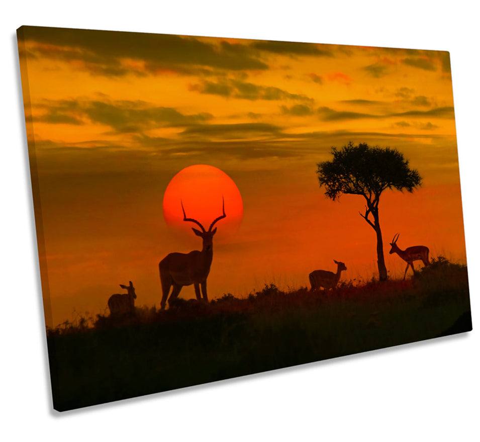 Africa Sunset Wildlife Safari