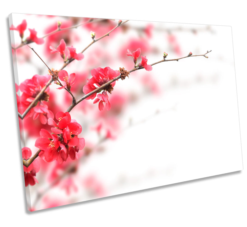 Red Tree Blossom Floral