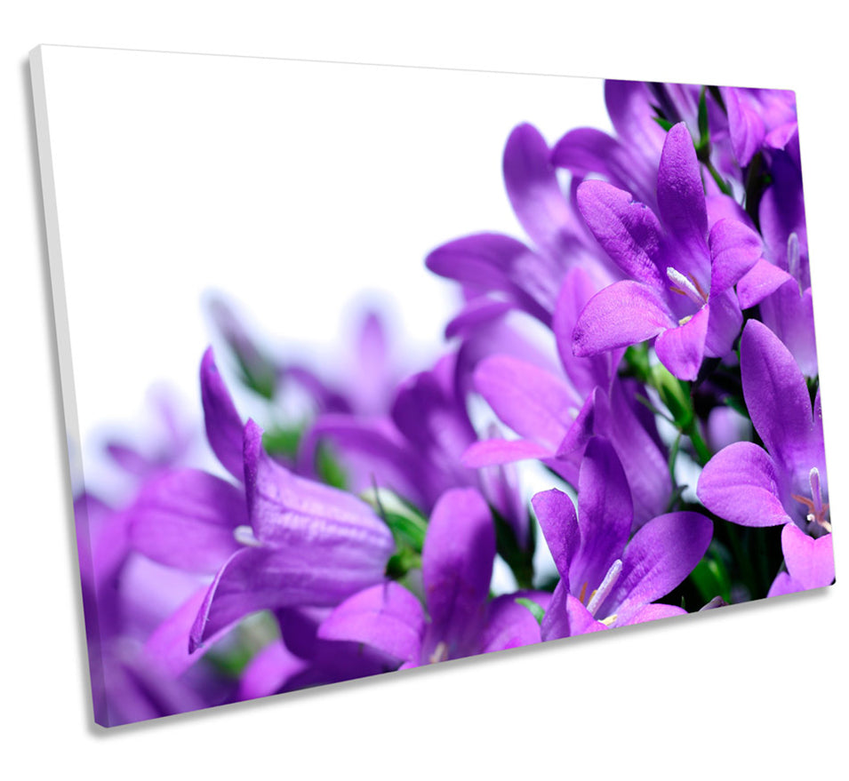 Purple Spring Flowers Floral