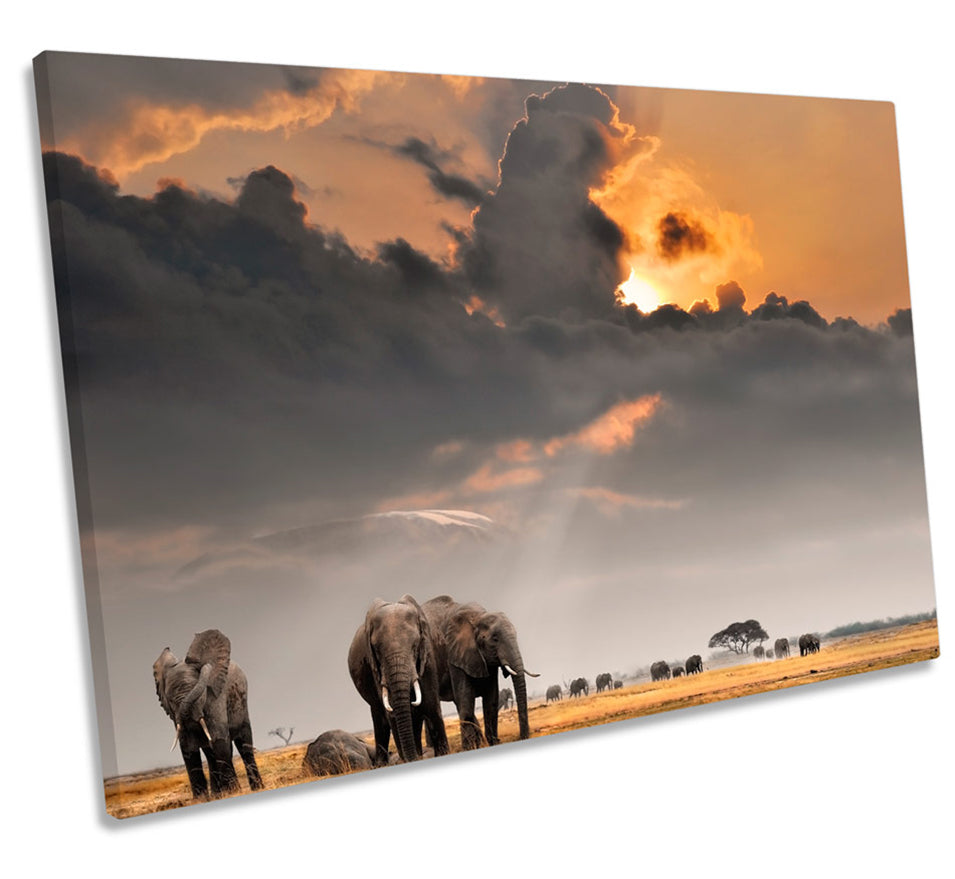 Elephants Safari Africa Sunset