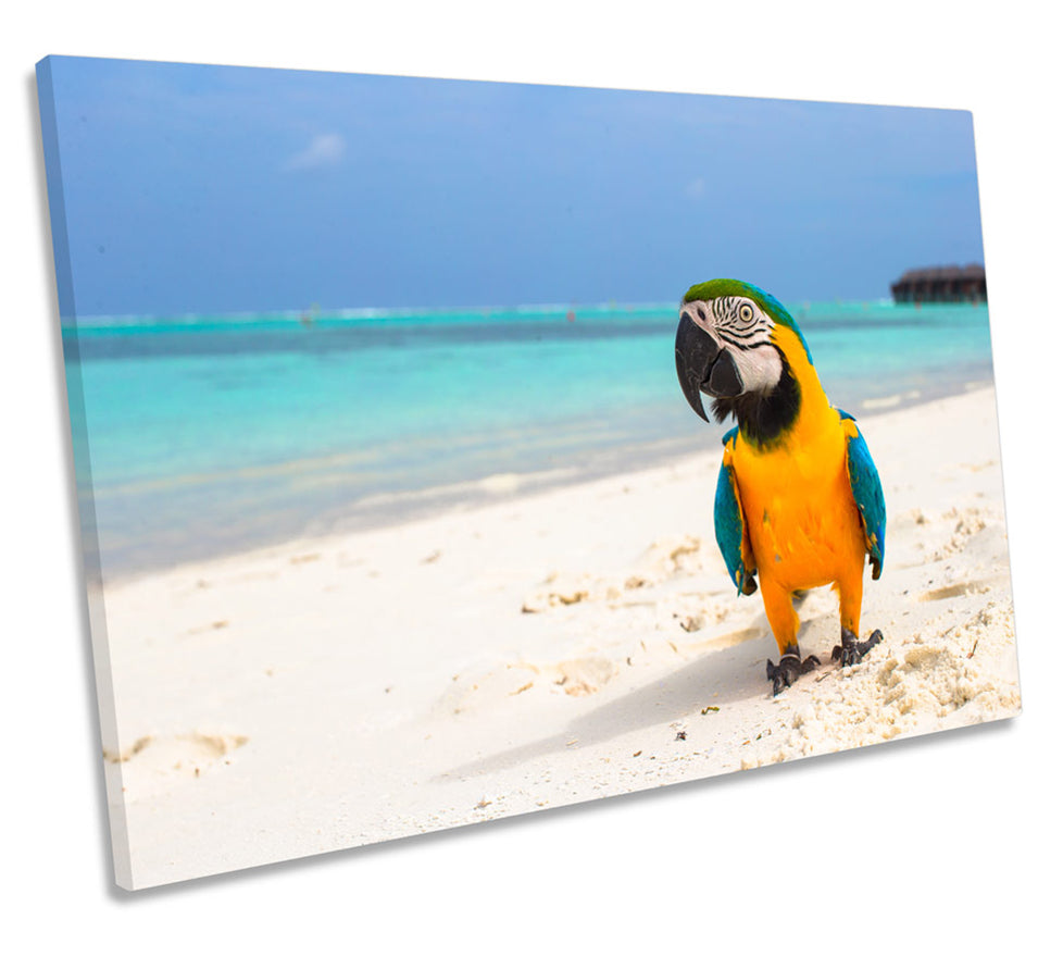 Tropical Beach Parrot