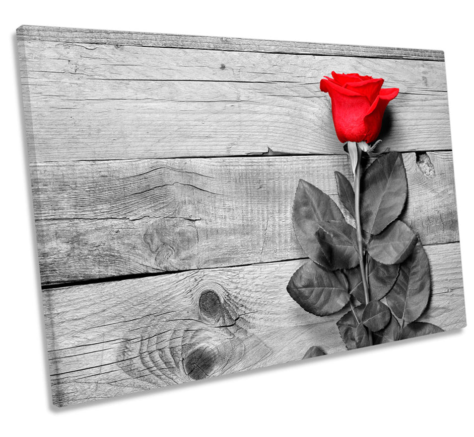 Red Rose Floorboards Flower
