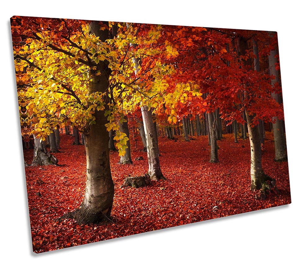 Autumn Forest Red Landscape