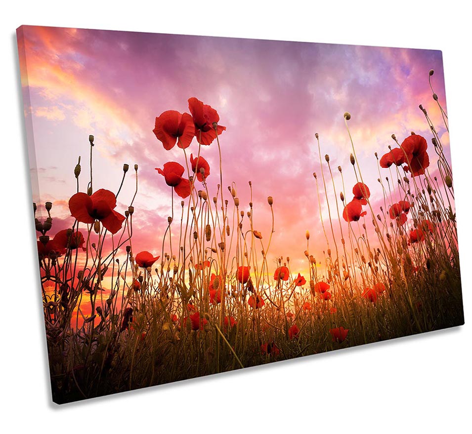 Red Poppies Sunset Floral