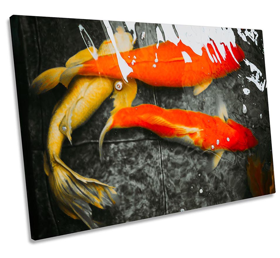 Koi Goldfish Abstract Fish