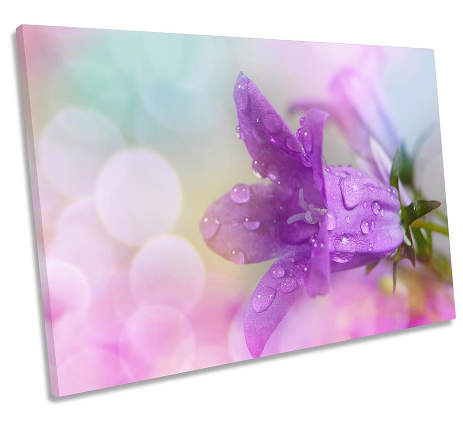 Purple Floral Flower Blossom