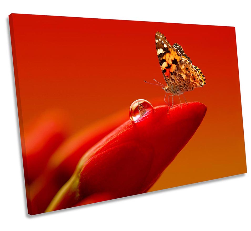 Butterfly Red Floral Flower