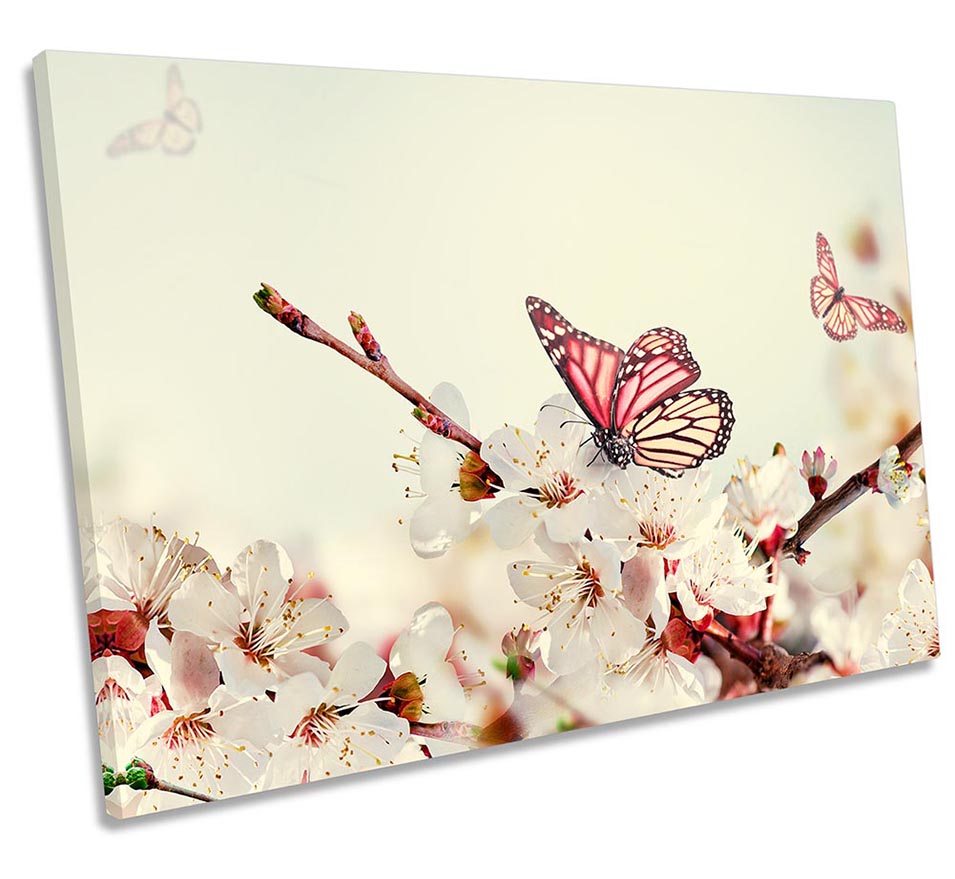 Butterfly Cream Floral Flowers