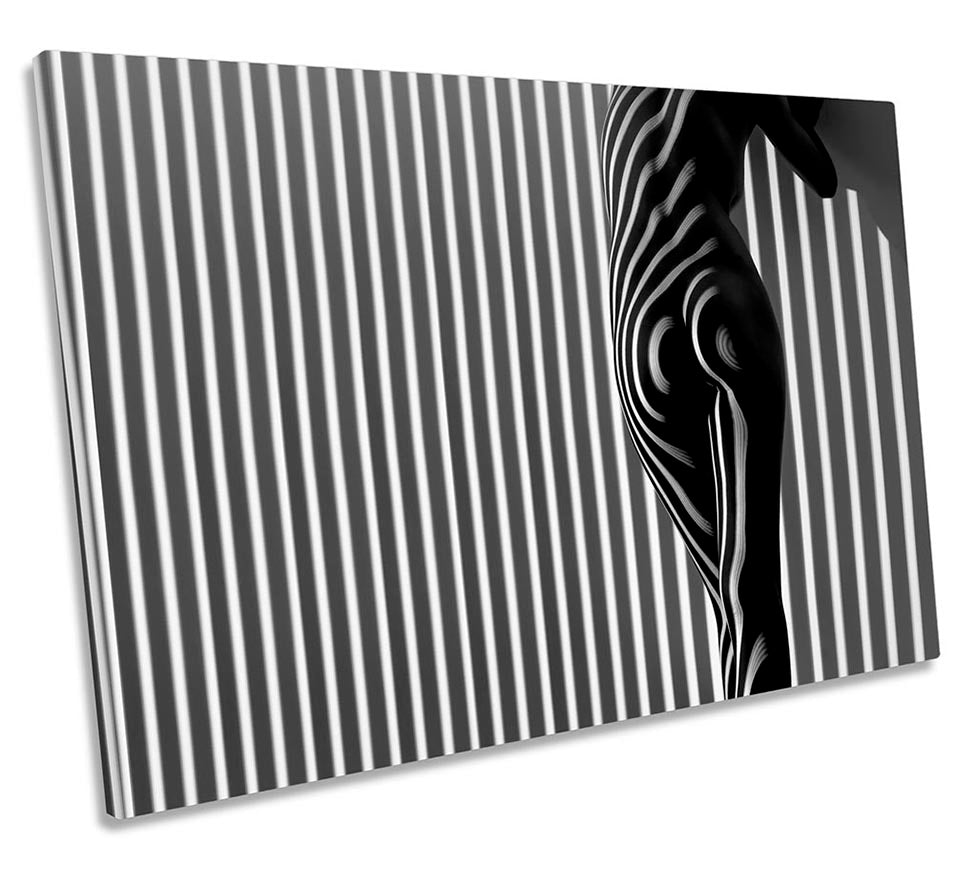 Black and White Stripes Model