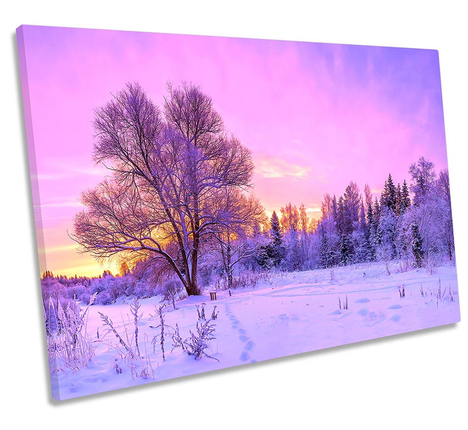 Purple Sunset Winter Landscape