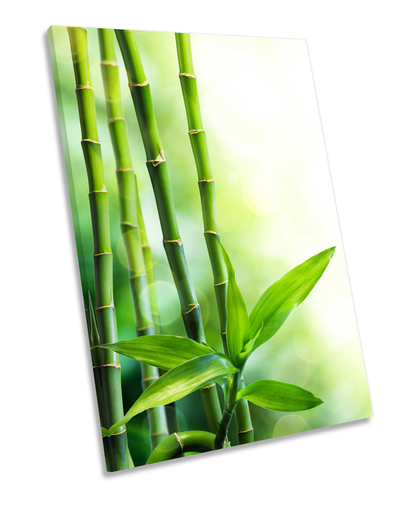 Bamboo Floral