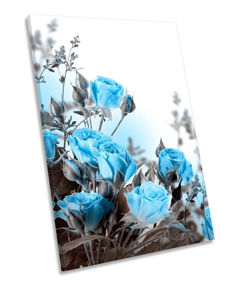 Blue Roses Flowers Floral