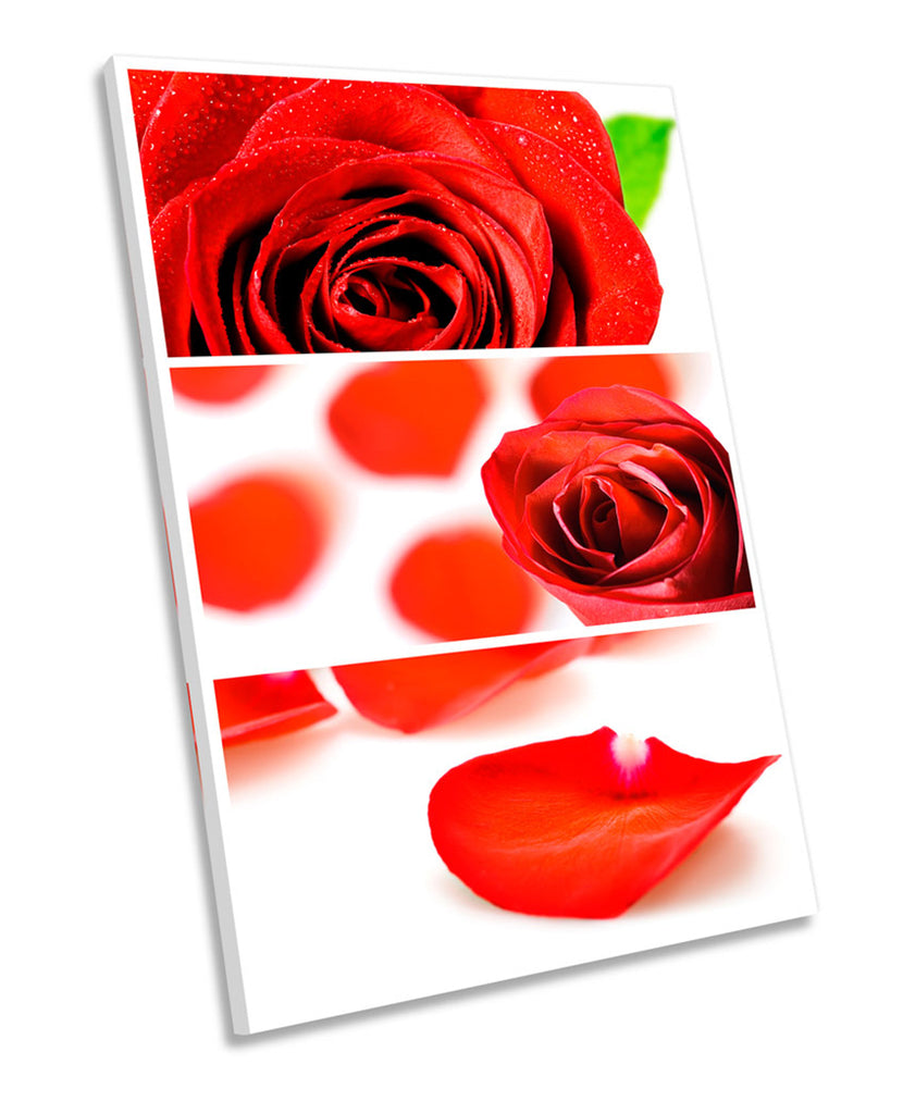 Red Rose Flower Petals Collage