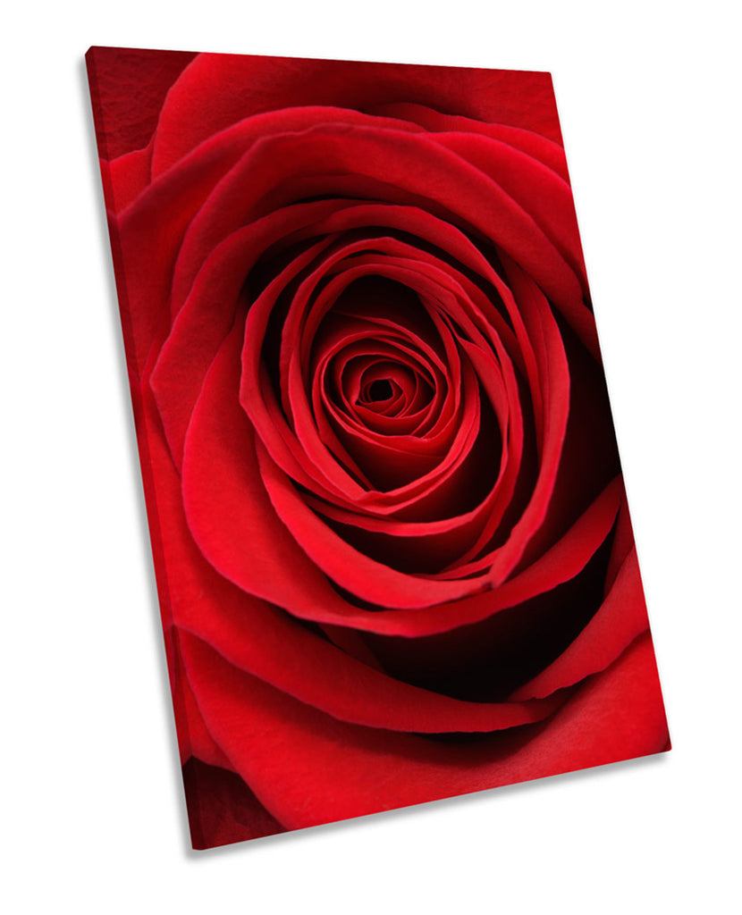 Red Flower Rose Floral