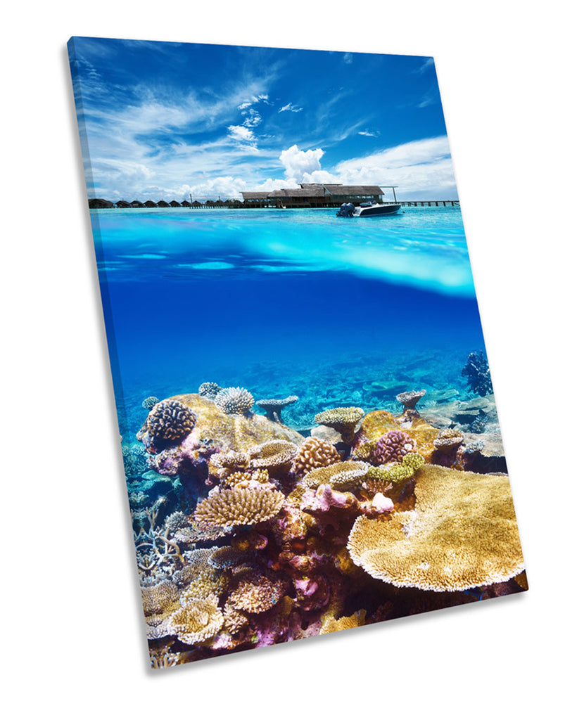 Reef Coral Marine Seascape