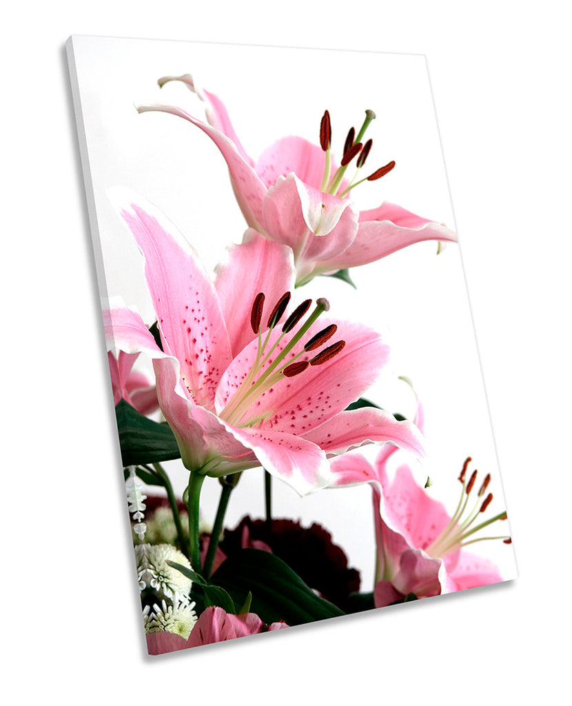 Pink Lilies Flowers Floral