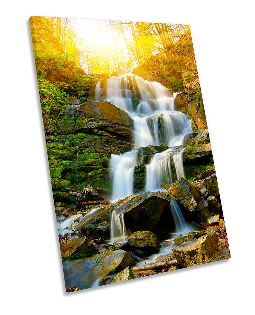 Sunset Forest Waterfall