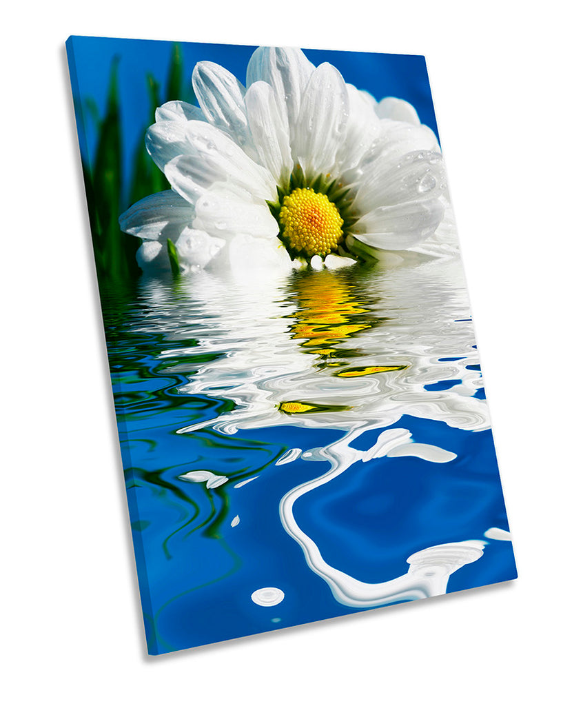 Daisy Blue Floral Flower