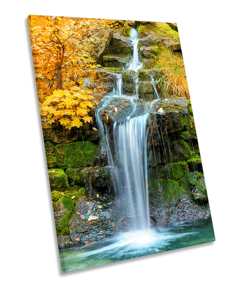 Forest Waterfall Landscape Yellow