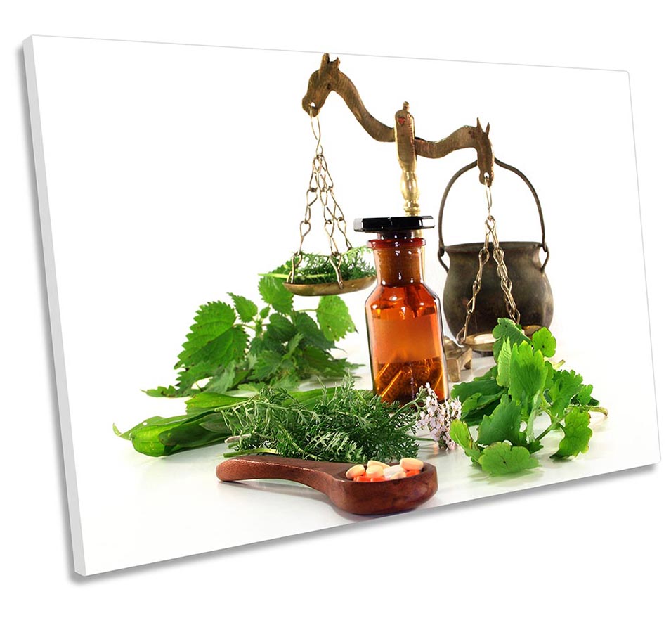 Kitchen Scales Herbs Green