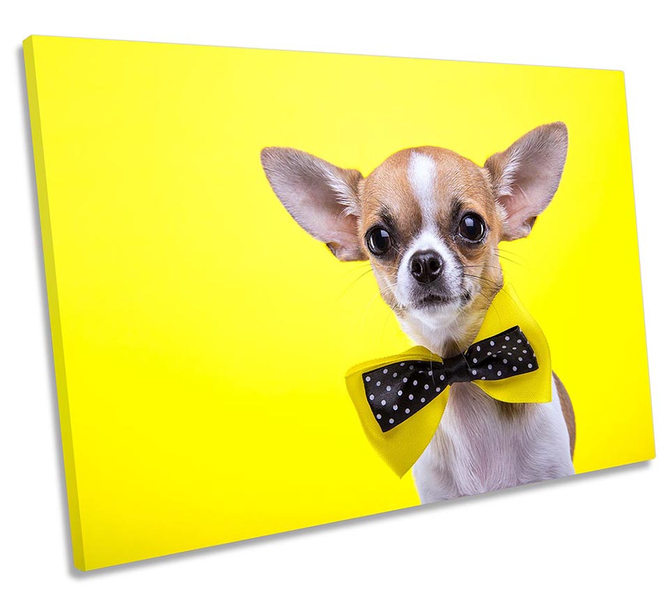 Chihuahua Dog Bow Tie Yellow