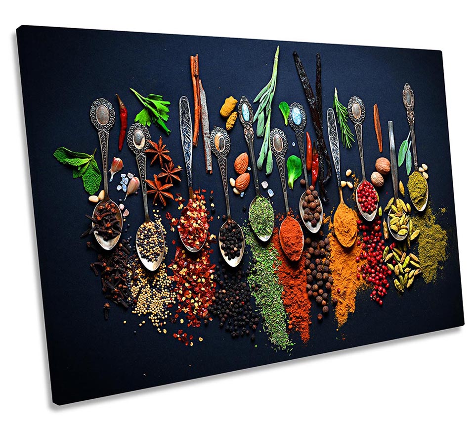 Spices Herbs Modern Spoons Multi-Coloured