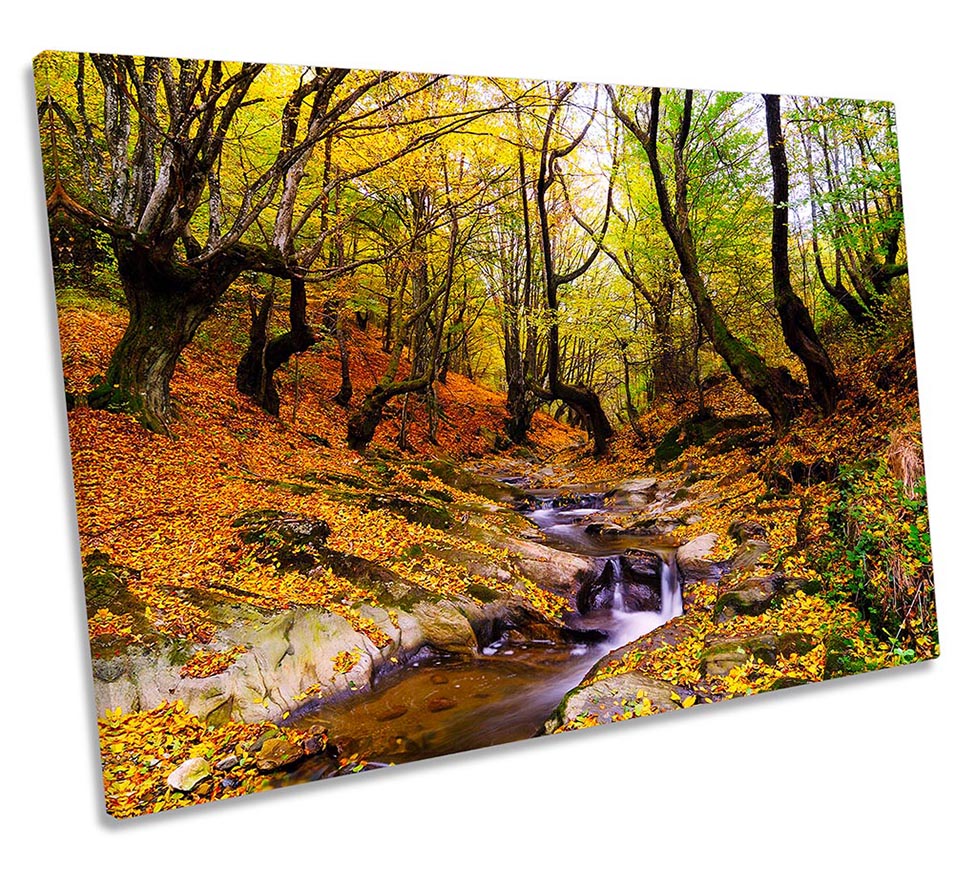 Autumn Forest Woodland Multi-Coloured