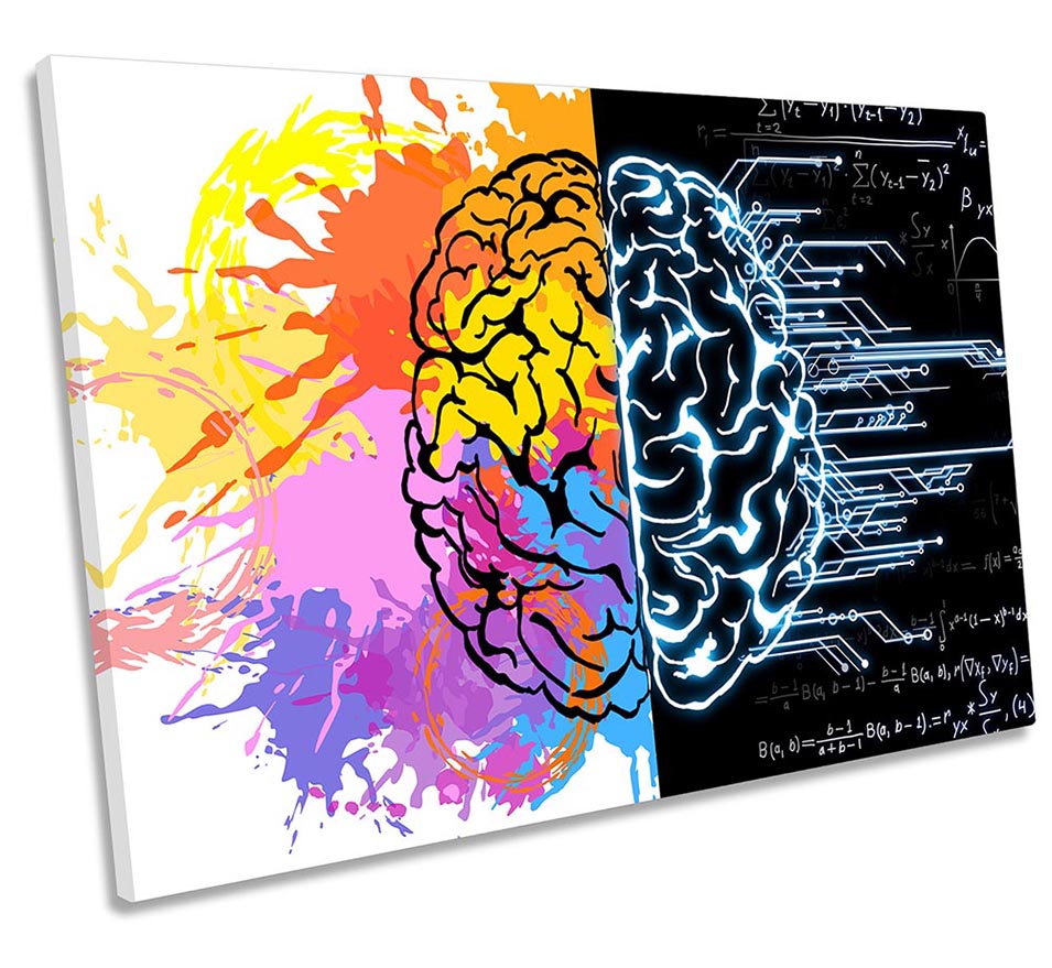 Brain Modern Forumlas Multi-Coloured