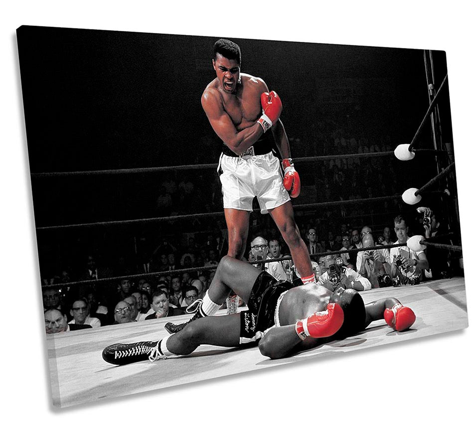 Muhammad Ali Boxing Black