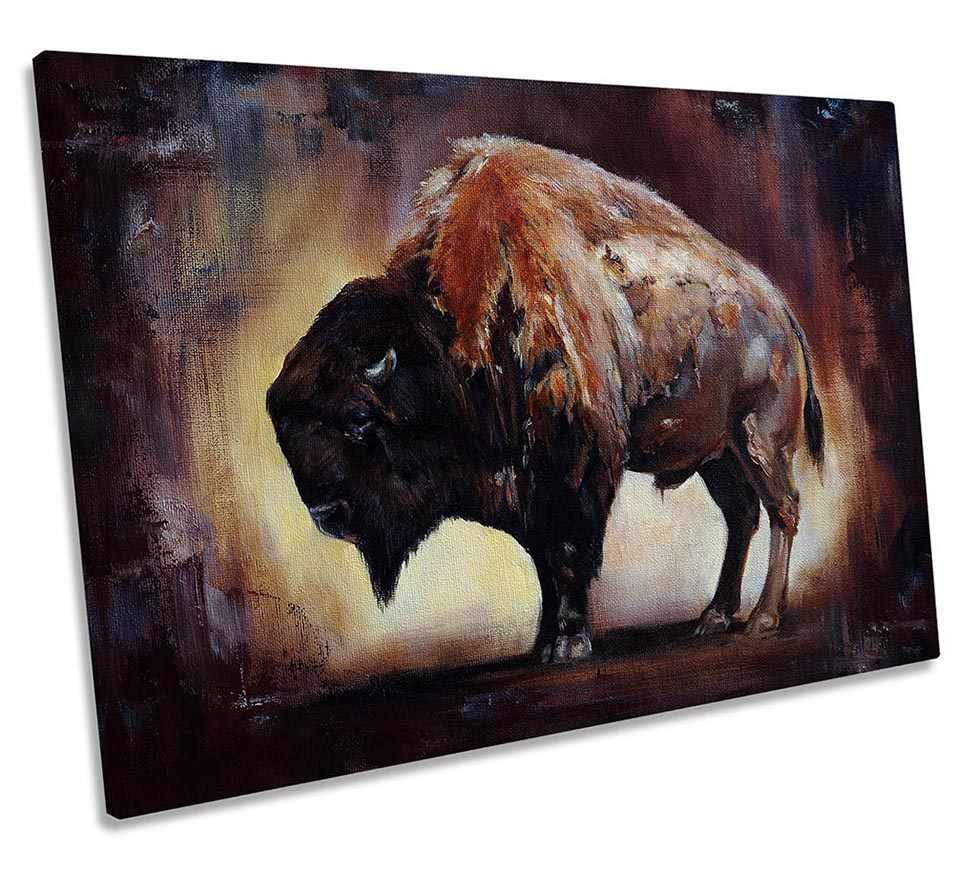 Buffalo Bison Brown
