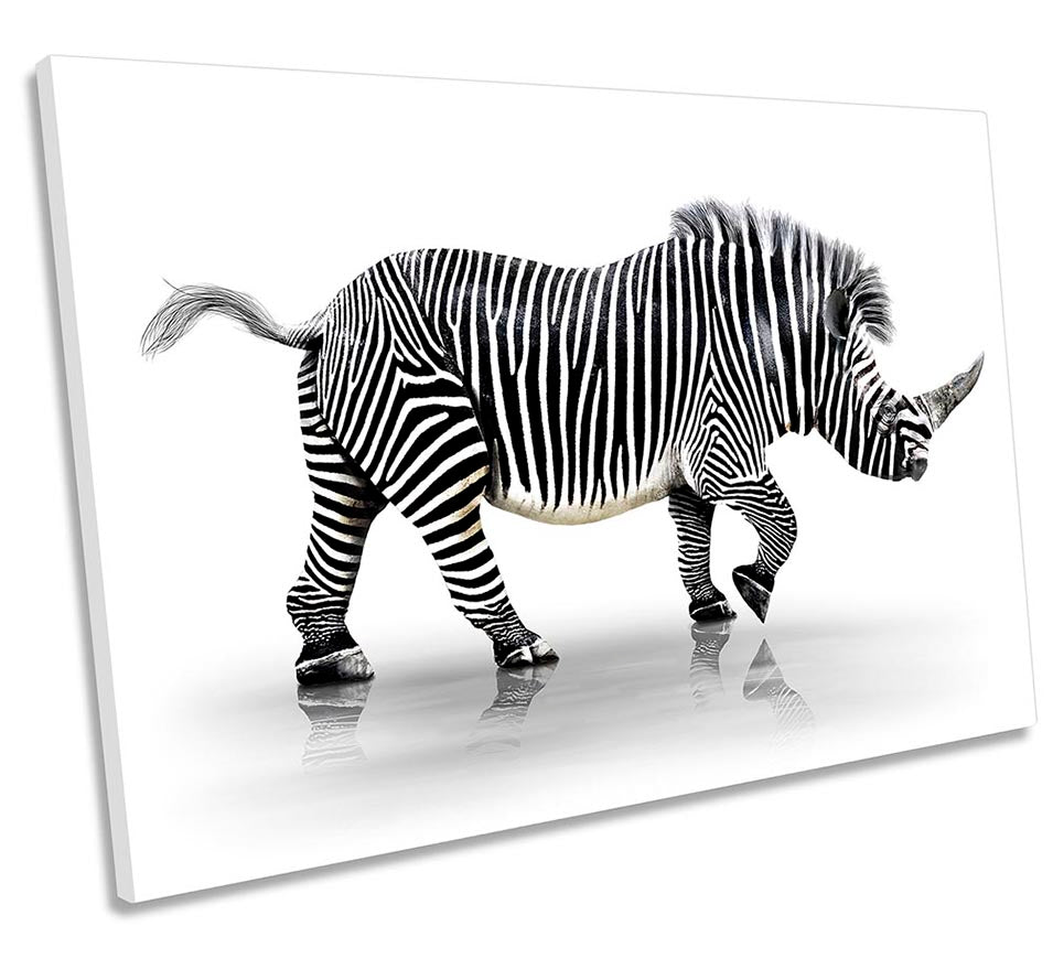Rhino Striped Zebra Black & White