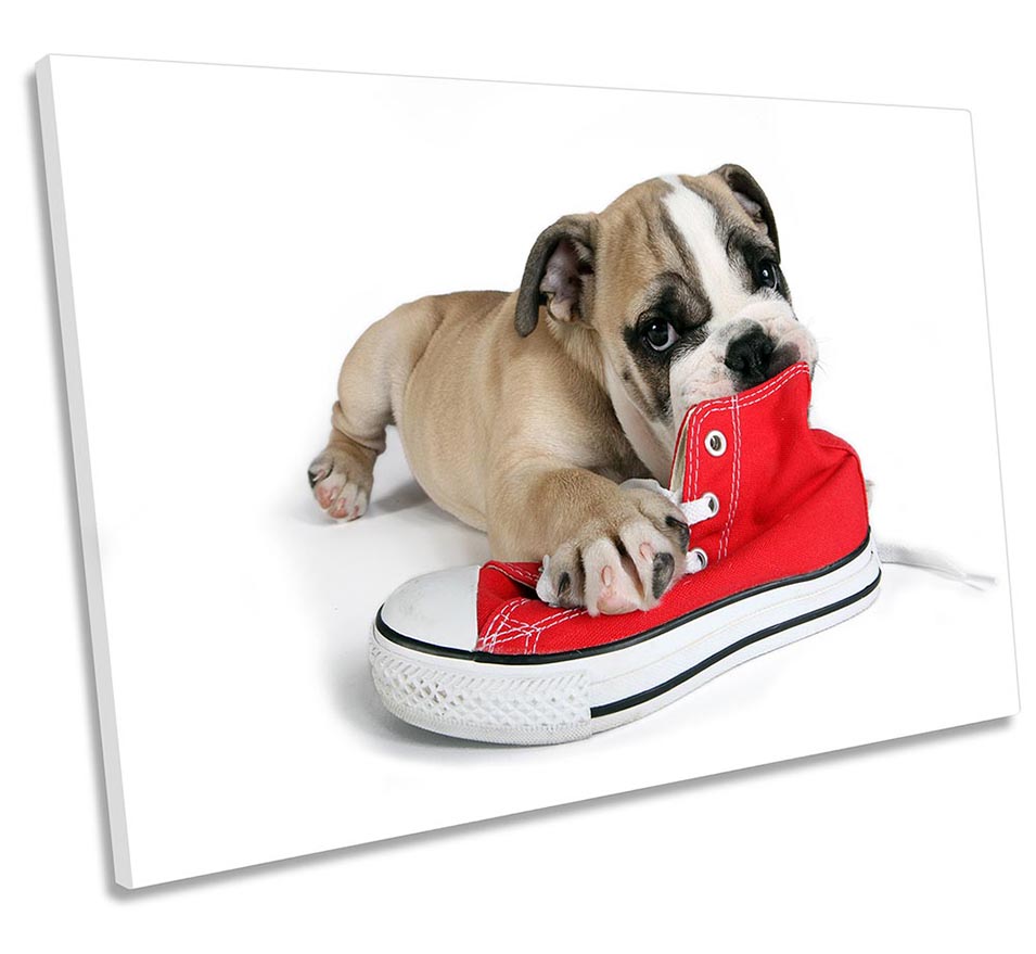 British Bulldog Puppy Shoe Red