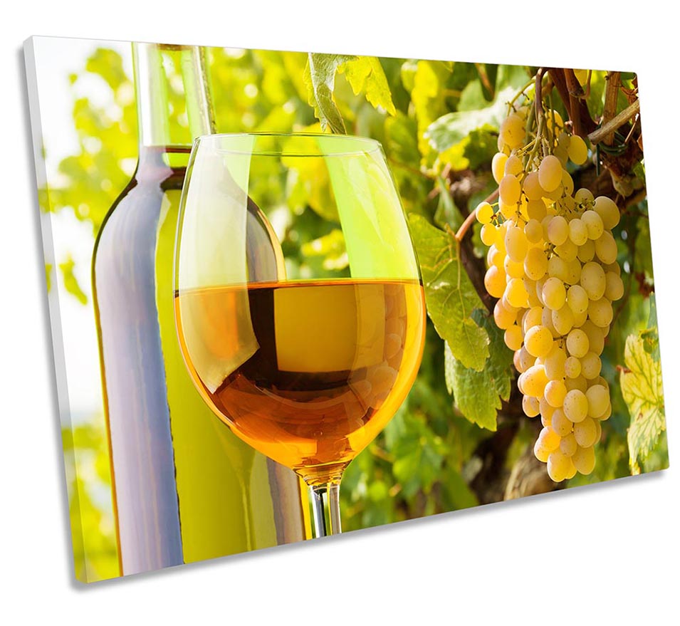 Glass Wine Vineyard Green