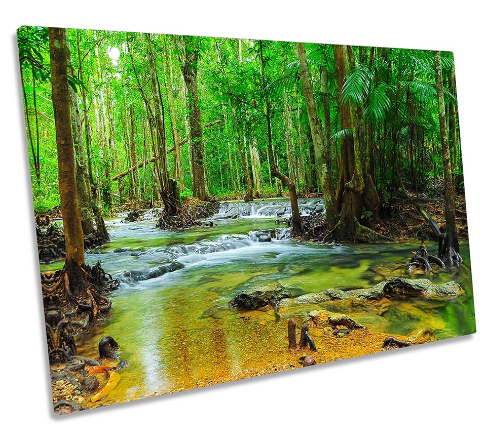 Tropical Forest River Green