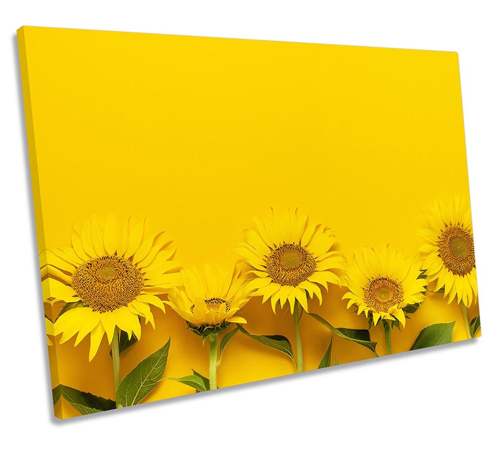 Sunflowers Minimalistic Yellow