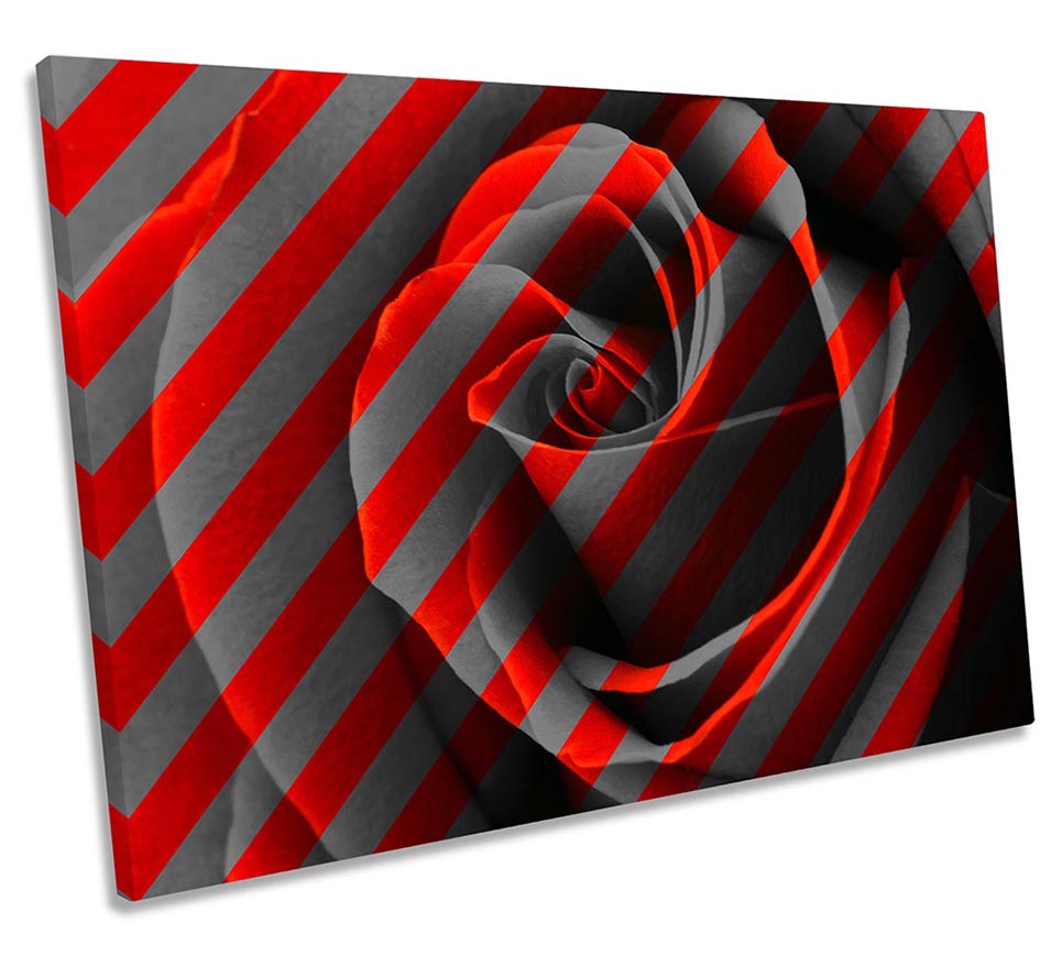 Rose Floral Flowers Red
