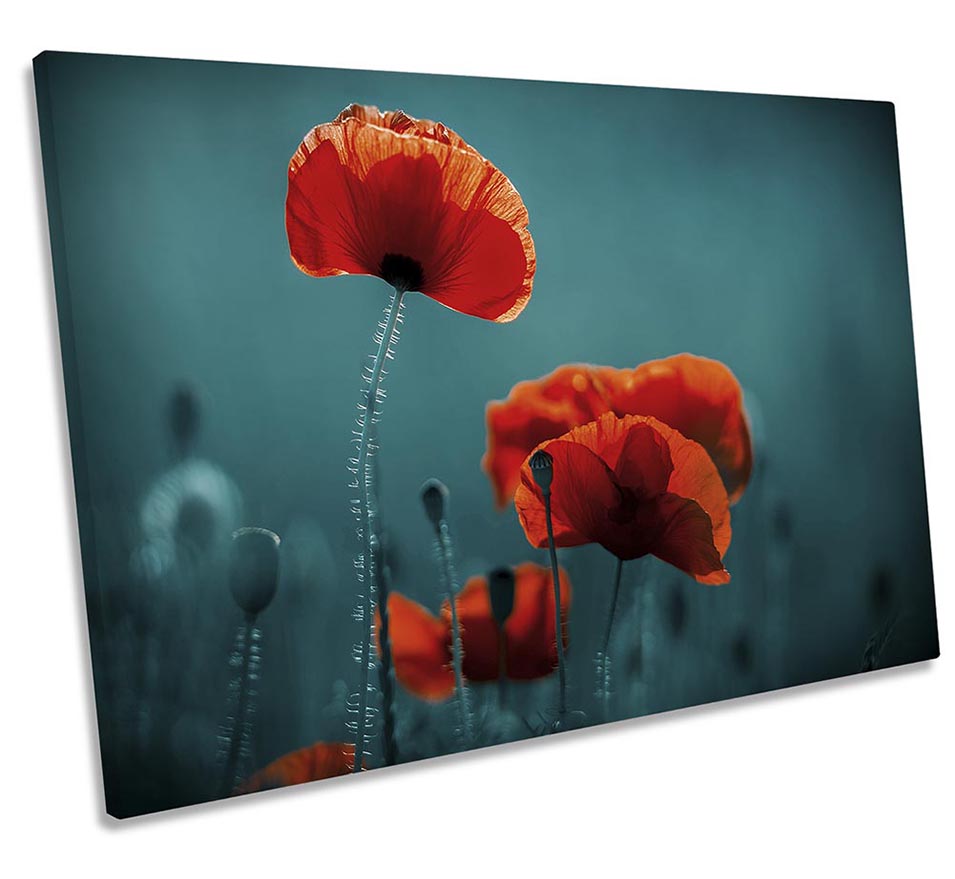 Red Poppy Floral Flowers Turquoise