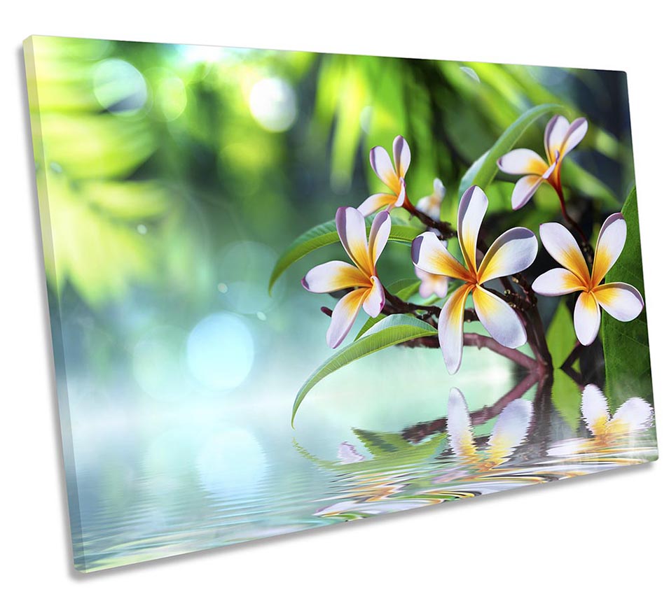 Floral Flowers Reflection Green