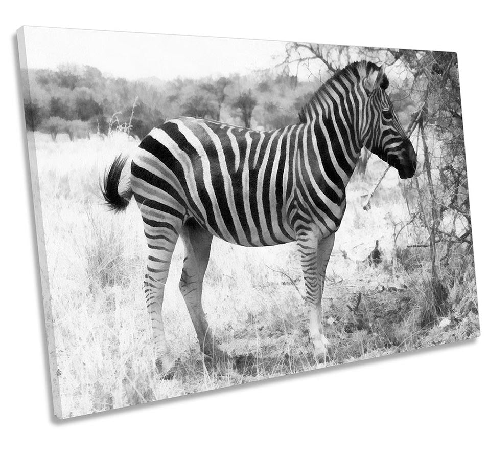 Zebra Animal Stripes Grey